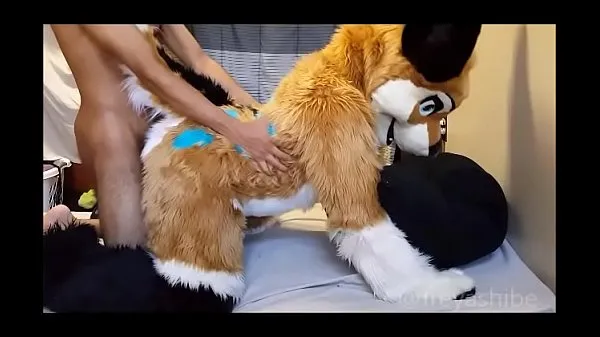 Assista a Furry babe gets fucked doggystyle clipes de energia