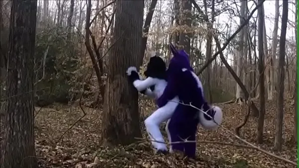 Watch Fursuit Couple Mating in Woods energy Clips