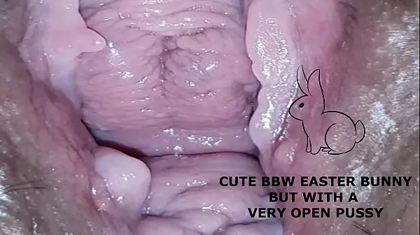 Watch Cute bbw bunny, but with a very open pussy energy Clips